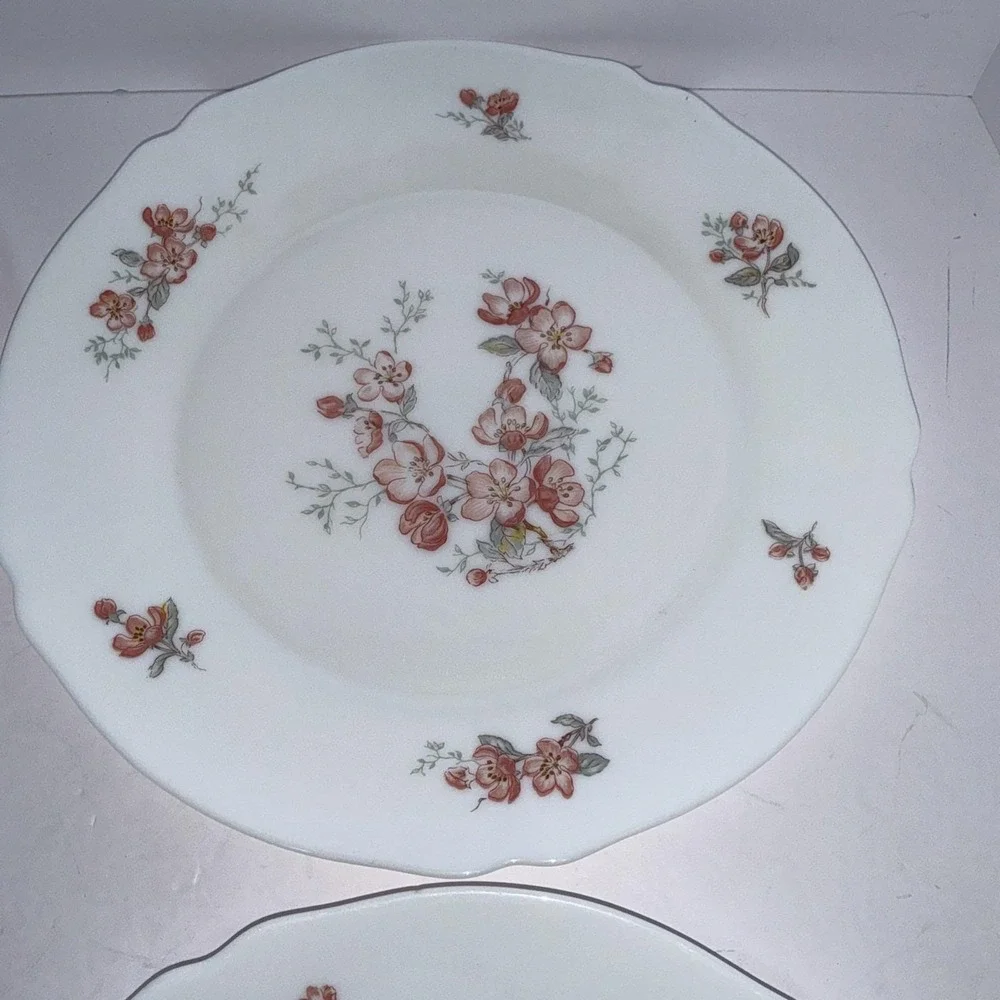 Lot 5 Vintage Arcopal France Florentine Cherry Blossom 10